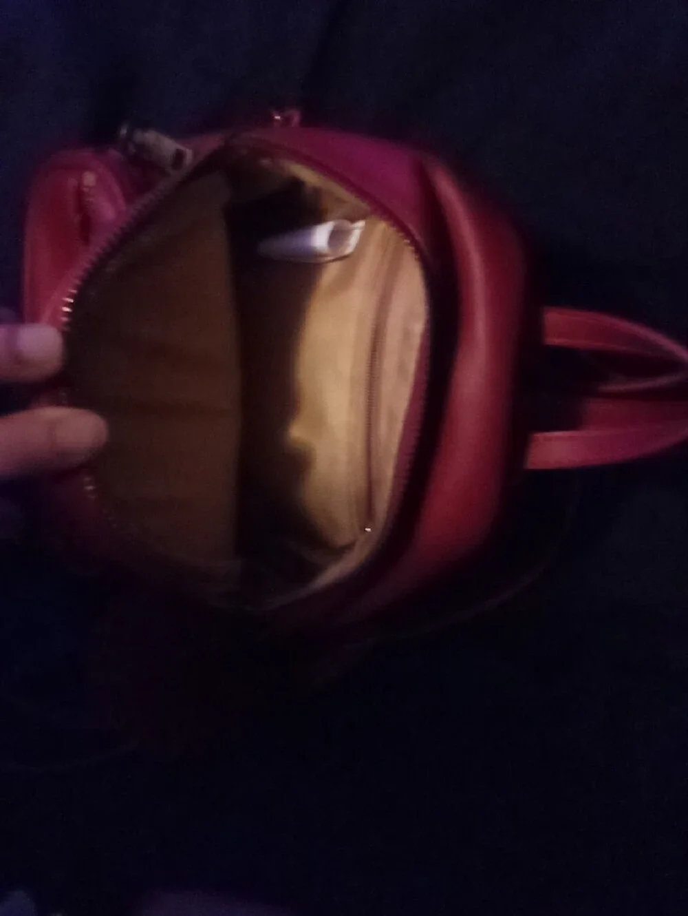 Universal Studios Wizarding Worldof Harry Potters Gryffindor Crest Mini Backpack